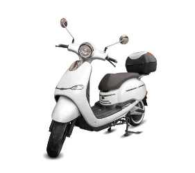 Electric Scooter Lithium Battery